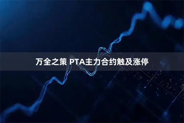 万全之策 PTA主力合约触及涨停