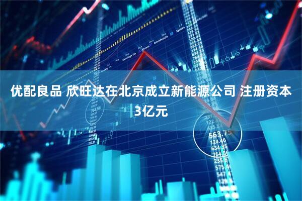 优配良品 欣旺达在北京成立新能源公司 注册资本3亿元