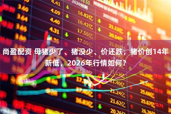 尚盈配资 母猪少了、猪没少、价还跌，猪价创14年新低，2026年行情如何？