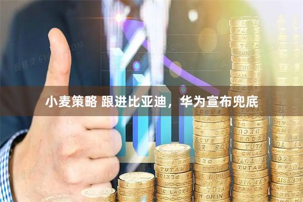 小麦策略 跟进比亚迪，华为宣布兜底